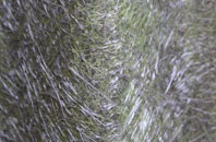 Keyhaven fibreglass roof work